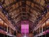Inaugural Now or Never festival a major success for GLP and Novatech