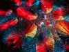 „MACROdose mushroom“ Stage beim Coachella 2024 von Maktive mit GLP JDC2 IP zum Leben erweckt