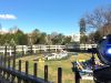 GLP’s X4 atom Boosts National Christmas Tree Switch-on