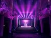 „Queen of Drags“ Live-Show mit exklusivem GLP-Setup
