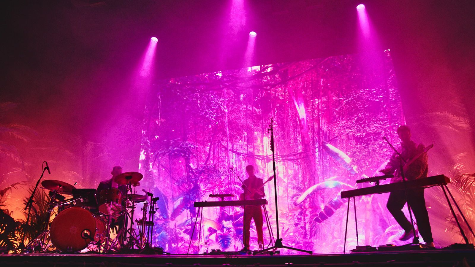 JDC Lines versetzen Glass Animals ins „Dreamland“
