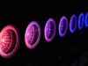 GLP FUSION Stick FS16 Z World premiere on German TV show