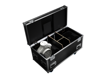 impression X5 Case 4