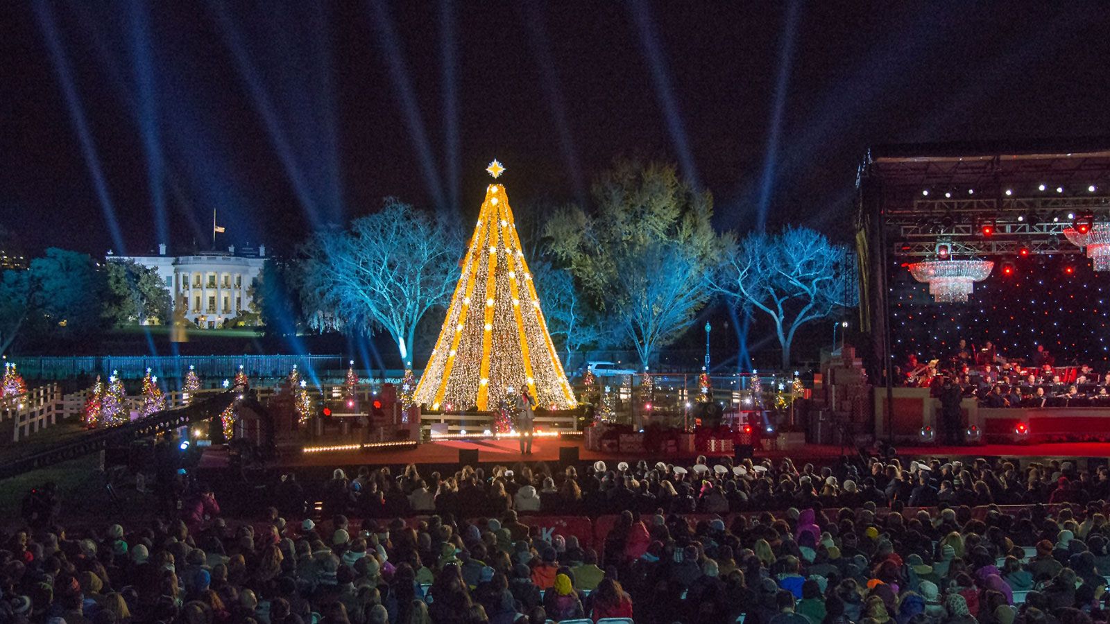 GLP’s X4 atom Boosts National Christmas Tree Switch-on