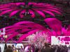 GLP rückt die Deutsche Telekom ins rechte Licht