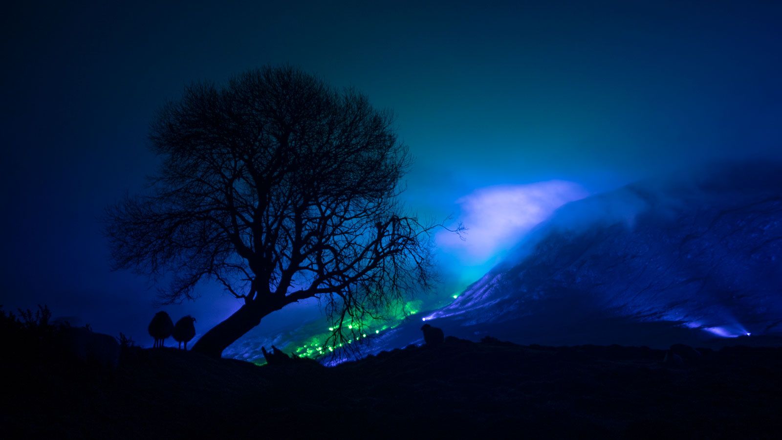 Kari Kola drenches Connemara Mountains in color