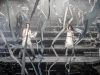 X4 Bars 20 lead the way in contemporary outdoor production of Evita