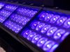 Washlight oder gigantische LED-Bar? Der Creos von GLP ist viel mehr als nur ein LED-Wash